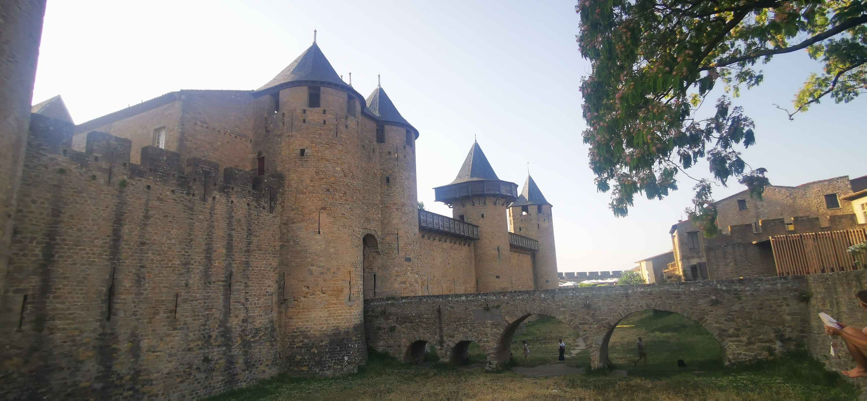 Carcassonne Rest Day