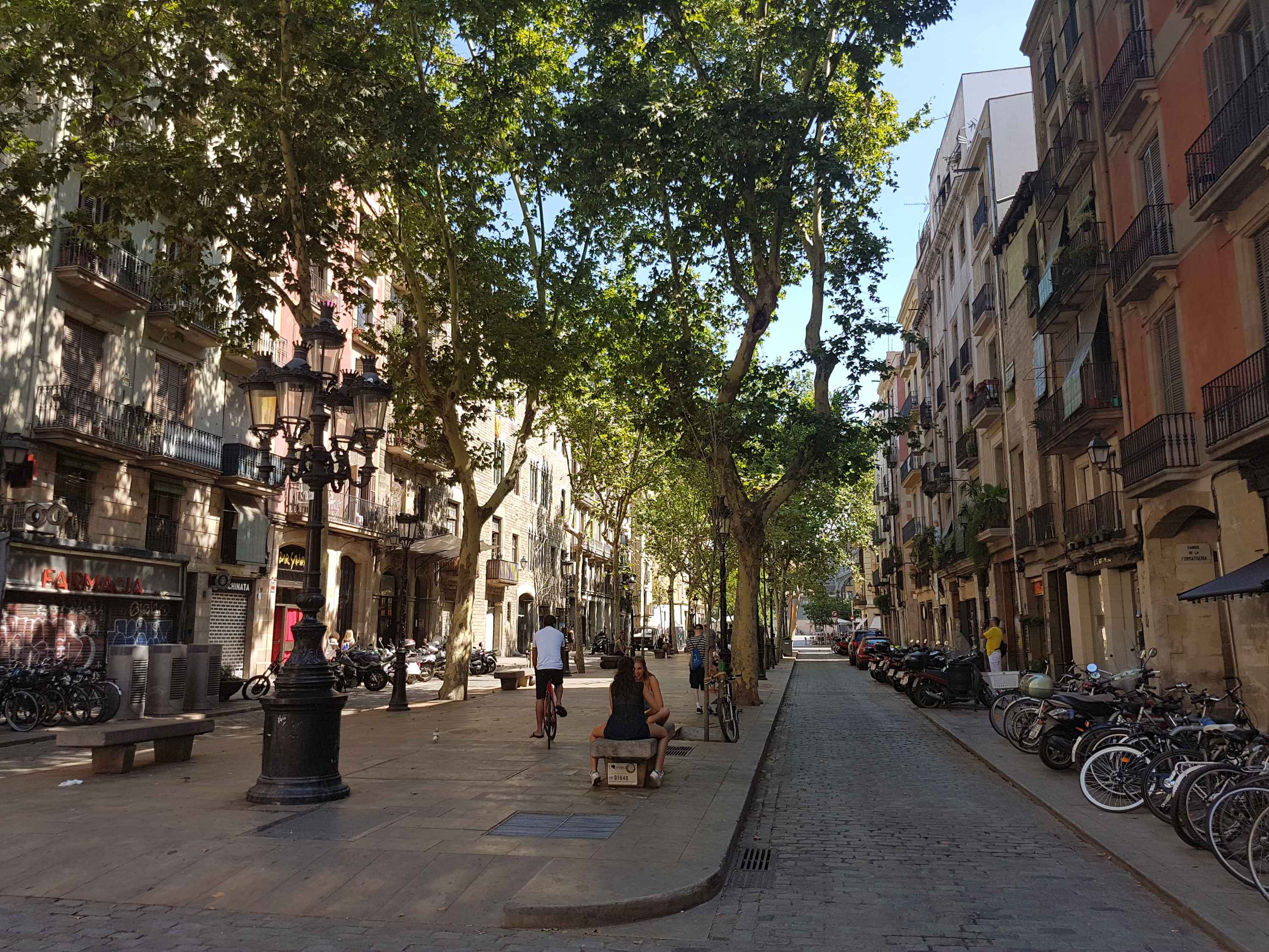 Barcelona Free Day